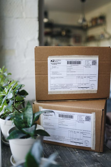 Profesyonel Postman API Koleksiyonu Yönetimi