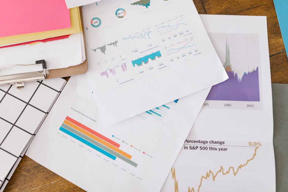 Profesyonel Zen Analytics Performans Raporlama